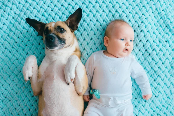 Newborn Baby Lifestyle Soft Focus Portrait Lying Back Together Funny — Stock Photo, Image