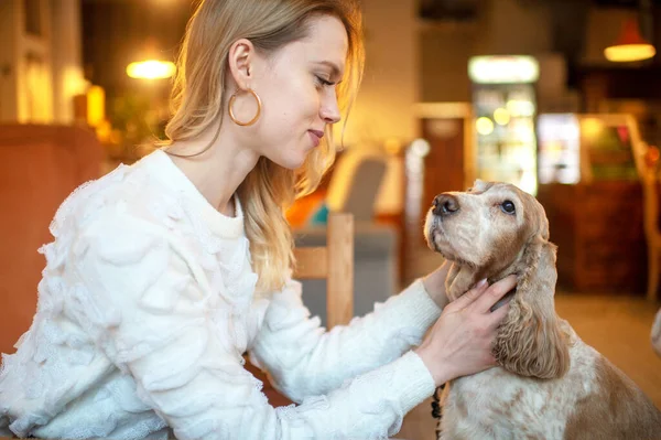 Joven Chica Rubia Suéter Blanco Cuidando Encantador Cachorro Cocker Spaniel —  Fotos de Stock