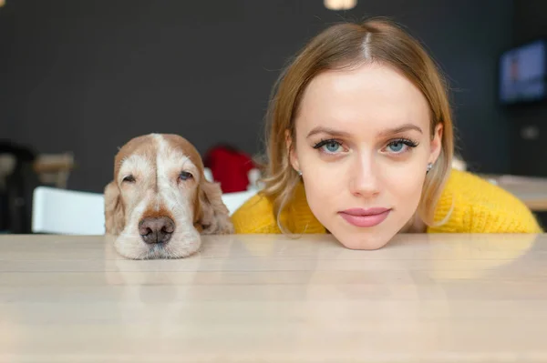 Funny Portrait Blonde Woman Her Cocker Spaniel Dog Putting Heads — Stock Photo, Image