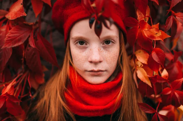 Retrato Sardas Positivo Menina Elegante Boina Vermelha Cachecol Posando Outono — Fotografia de Stock