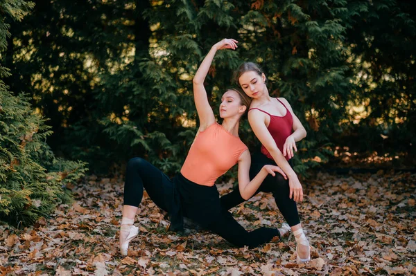 Duas Bailarinas Jovens Posando Com Graça Elegância Calças Leggins Pretas — Fotografia de Stock
