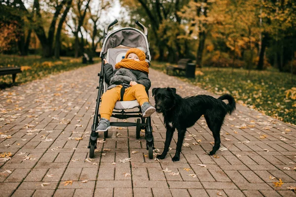 Een Klein Mooi Kind Gele Grijze Herfstkleding Zit Een Kinderwagen — Stockfoto