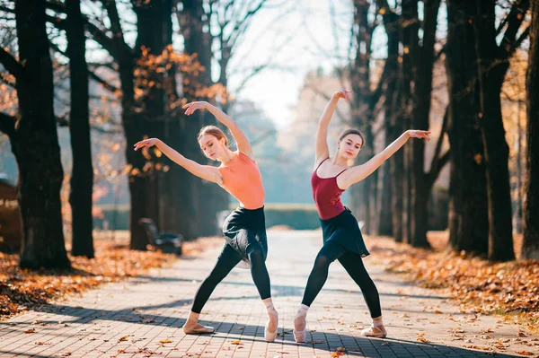 Mulheres Bailarinas Dançando Posando Pisando Folhas Vale Árvore Dia Ensolarado — Fotografia de Stock