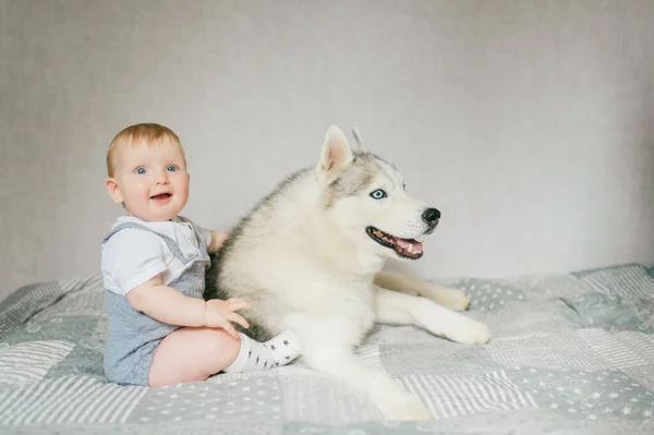 Pequeño Niño Jugando Con Cachorro Cama —  Fotos de Stock