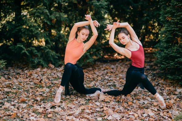 Duas Bailarinas Jovens Posando Com Graça Elegância Calças Leggins Pretas — Fotografia de Stock