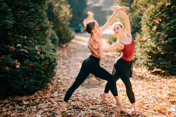 Dois Dançarinos Balé Feminino Magro Dançando Posando Belo Parque Outono — Fotografia de Stock