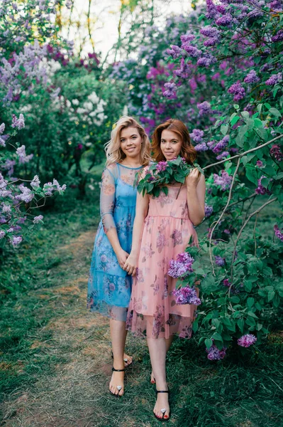 Sarışın Kahverengi Saçlı Güzel Kız Kardeşler Leylak Bahçesinde Ele Tutuşun — Stok fotoğraf