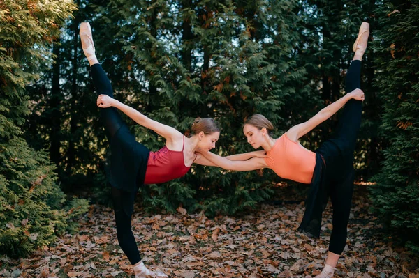Две Молодые Танцовщицы Балета Делают Упражнения Растягиваются Парке — стоковое фото