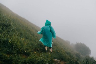 Yürüyüş. Sırt çantalı gezginler yemek dağına tırmanıyor. Dağ yürüyüşü. Sırt çantalı adamlar yolda.