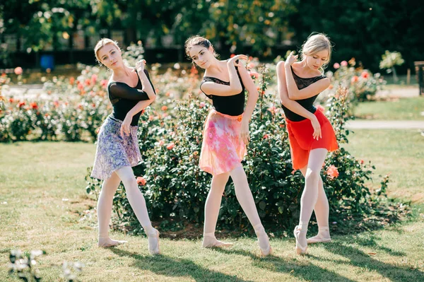 Tres Hermosas Bailarinas Bailando Equilibrando Luz Del Sol Parque Verano —  Fotos de Stock