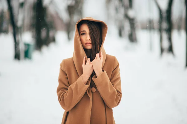 Detailní Portrét Krásné Dlouhé Vlasy Brunnette Dívka Georgian Vzhled Pózovat — Stock fotografie