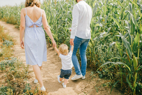 Young beautiful mum in light blue dress, strong caucasian dad with short dark hair in white shirt and blue jeans playing with their cute little blond son in a cornfield in summer.