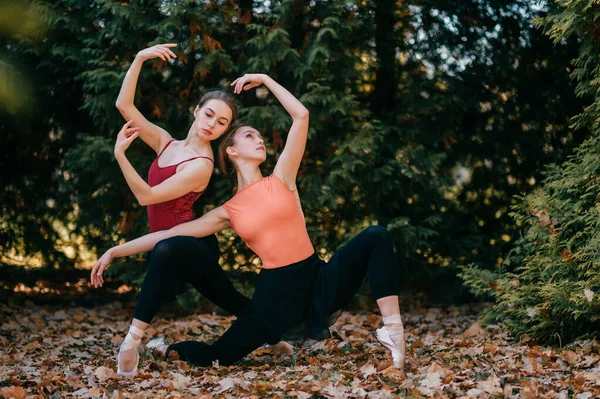 Dwie Młode Baletnice Pozujące Gracją Elegancją Czarnych Legginsach Spodnie Tutu — Zdjęcie stockowe