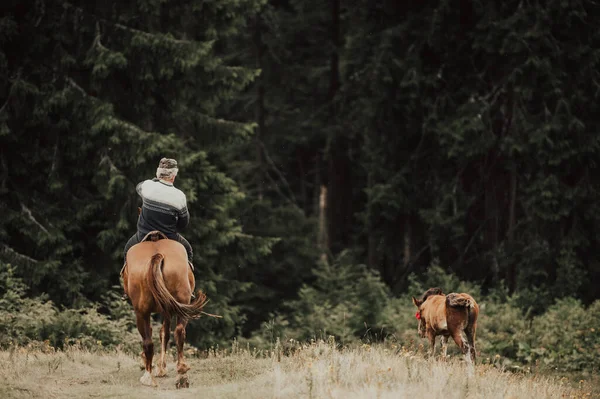 Cowboy Paardrijden Het Bos — Stockfoto