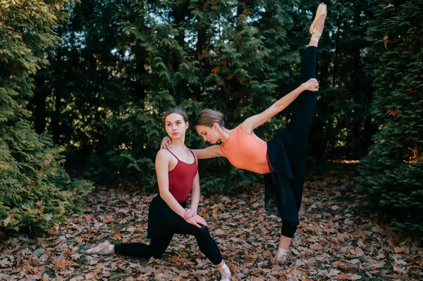 Две Молодые Танцовщицы Балета Делают Упражнения Растягиваются Парке — стоковое фото
