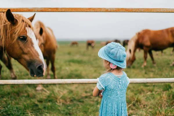 Pequena Criança Engraçada Assustada Alimentando Cavalo Selvagem Com Grama Menina — Fotografia de Stock