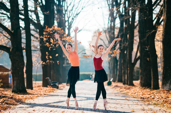 Женщины Балерины Танцуют Позируют Рвут Листья Долине Деревьев Солнечный День — стоковое фото