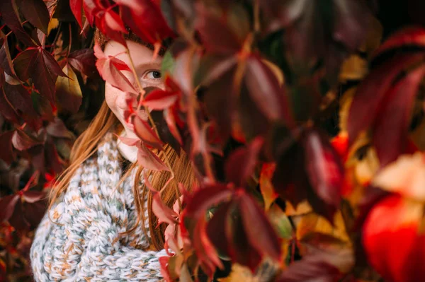 Sarmaşık Duvarında Kırmızı Yapraklara Bakan Pozitif Küçük Bir Kız Saklambaç — Stok fotoğraf