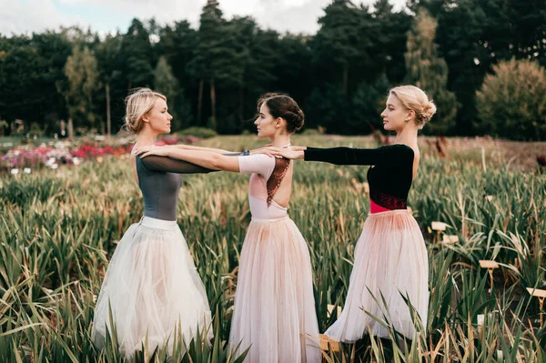 Três Bailarinas Mulheres Posando Campo Branco Tutu — Fotografia de Stock
