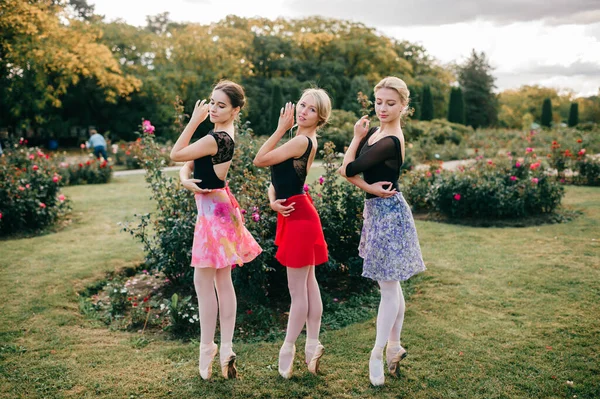 Три Молодых Красивых Балерины Женщины Дерьмовых Колготках Красочные Юбки Позируют — стоковое фото