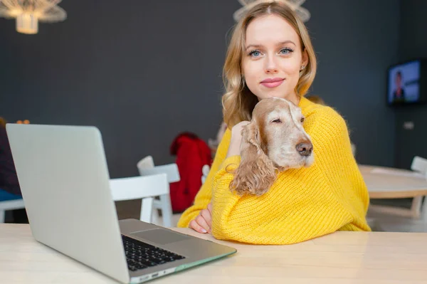 Feliz Alegre Loira Woamn Abraços Ela Engraçado Cocker Spaniel Cão — Fotografia de Stock