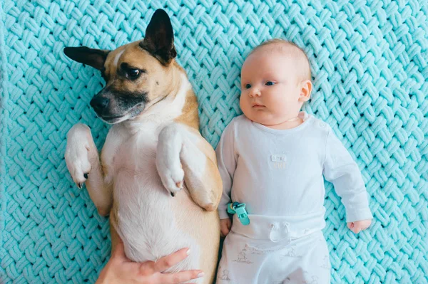 태어난 아기의 부드럽고 초점이 맞춰져 강아지와 있습니다 스러운 커플의 우정이지 — 스톡 사진