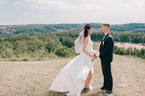 Caucásico Boda Pareja Posando Cima Montaña Día Soleado —  Fotos de Stock