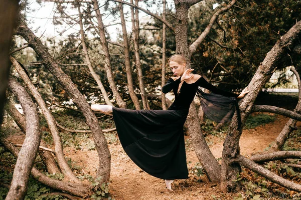 Mladý Krásný Balerína Černošky Vintage Šaty Závojem Pózování Mezi Stromy — Stock fotografie