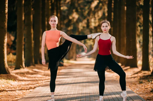 Duas Dançarinas Balé Femininas Elegantes Uma Pose Engraçada Olhando Para — Fotografia de Stock