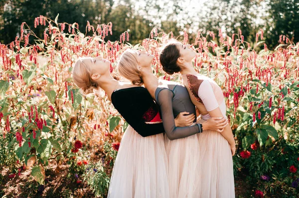 背景にピンクの花の上にポーズをとって踊る3つの優雅なバレリーナの劇的な肖像画 — ストック写真