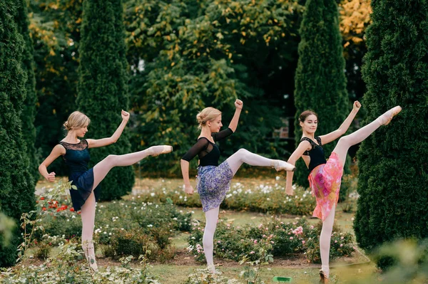 Três Bailarinas Engraçadas Fazendo Exercícios Natureza — Fotografia de Stock