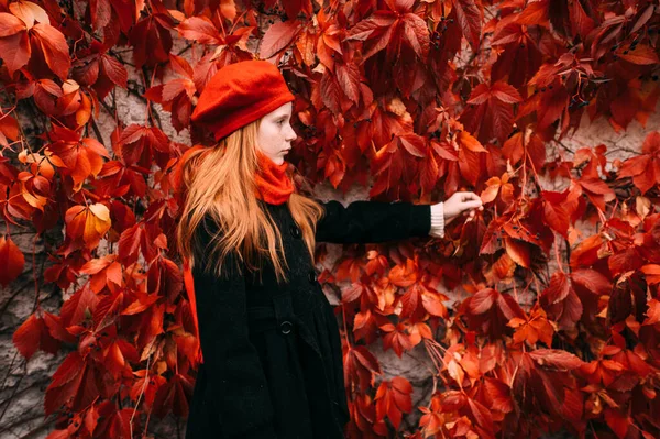 Ruiva Cabelos Compridos Menina Elegante Tocando Outono Folhas Hera Livre — Fotografia de Stock
