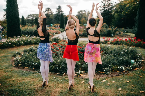 Портрет Трех Изящных Балерин Девушки Позируют Красивом Парке Цветами — стоковое фото