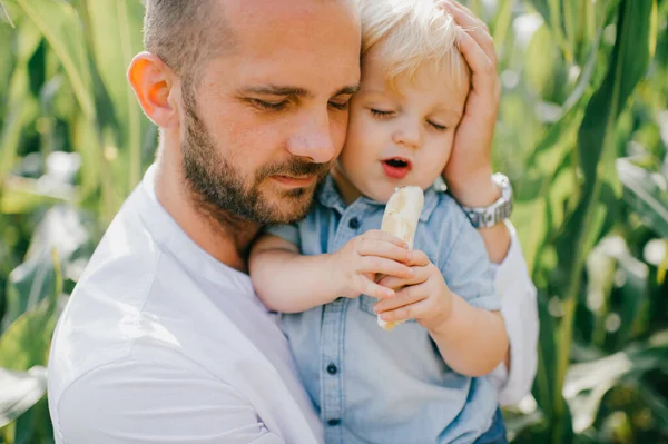 ハンサムな若いですCaucasianお父さんとともに短い暗い髪で白いシャツ 青いジーンズと散歩のために行く彼の可愛いです赤ん坊と一緒にトウモロコシ畑で公正な髪 — ストック写真