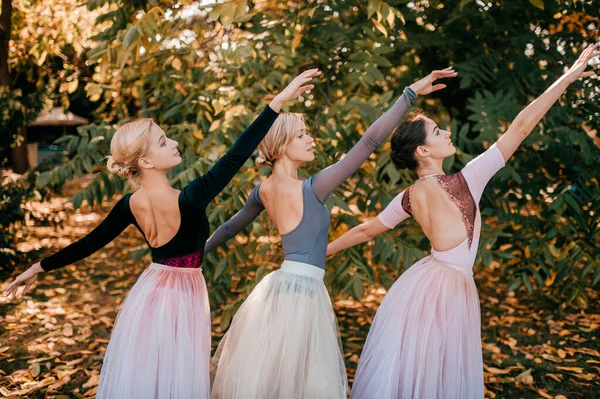 Three ballerina girls posing and dancing in beautiful park.