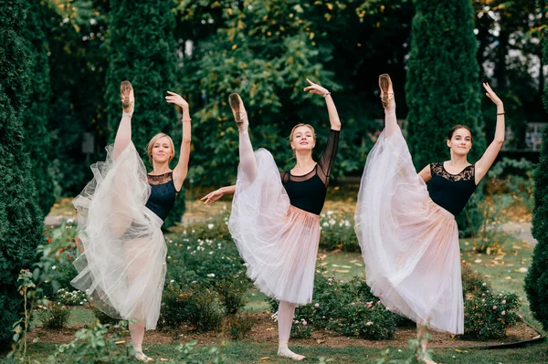 Tres Bailarinas Bailando Posando Hermoso Parque Con Arbustos Flores —  Fotos de Stock