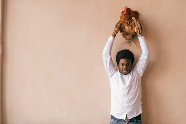 Afroameričan Drží Kuře Nad Hlavou Studiu Muž Tmavou Pletí Jeho — Stock fotografie