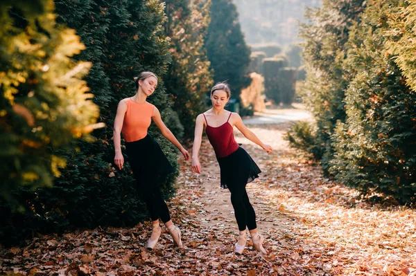两名滑稽的芭蕾舞演员在阳光灿烂的公园里练习着秋天的落叶 — 图库照片