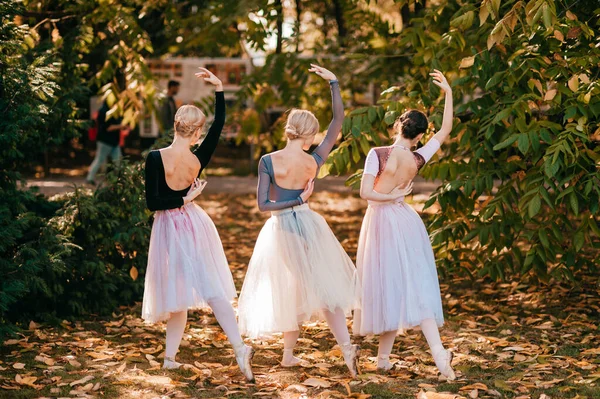 Três Bailarinas Meninas Posando Dançando Belo Parque — Fotografia de Stock