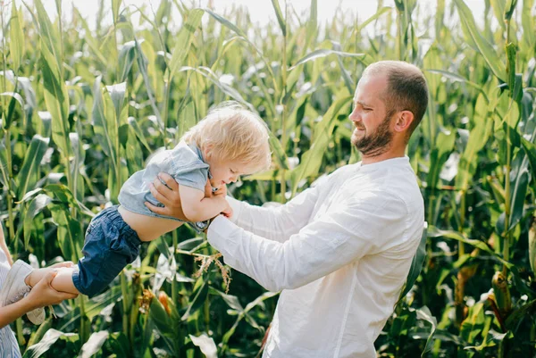 Young beautiful mom, strong Caucasian dad playing with their cute little blond son in a cornfield.