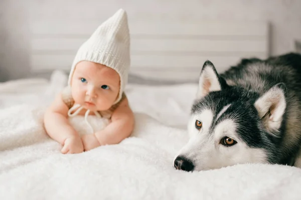 태어난 아기의 방식은 부드럽게 초점이 맞춰져 허스키 강아지와 침대에 아이와 — 스톡 사진