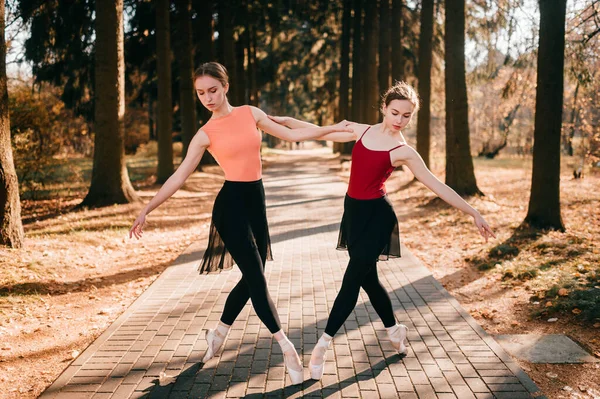 Две Элегантные Танцовщицы Балета Растягиваются Позируют Парковой Долине — стоковое фото