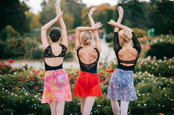Retrato Por Detrás Tres Elegantes Bailarinas Posando Hermoso Parque Con —  Fotos de Stock