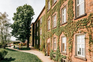 Krakow, Polonya - 26 Nisan 2019: Polonya 'nın Krakow kentindeki Wawel Kraliyet Kalesi' nin duvarındaki sürüngen.