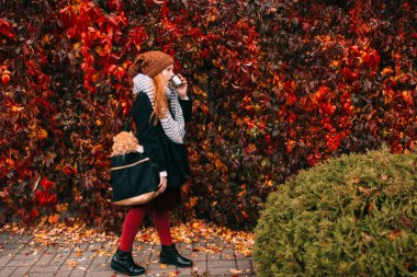 Genç çilli kız elinde çay fincanıyla sonbahar parkında çantasının içinde renkli yapraklarla komik bir kedi taşıyor..