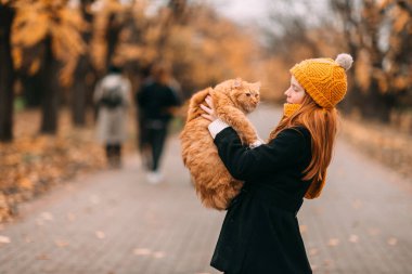 Neşeli küçük çocuk dışarıda sonbahar vadisinde kediyle oynuyor..