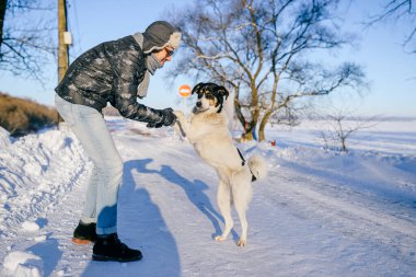 Yetişkin ve mutlu bir adam kar yolunda dost canlısı bir köpekle poz veriyor.