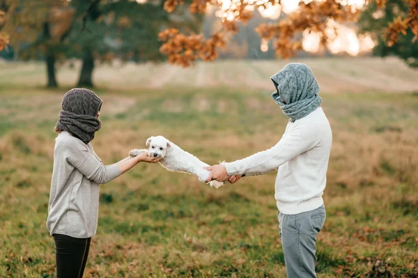 Estranho Casal Com Rostos Envoltos Segurando Patas Cão Lovelyl Campo — Fotografia de Stock