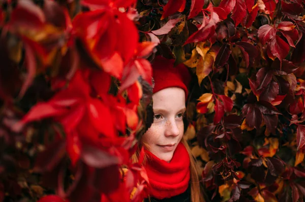 Retrato Sardas Positivo Menina Elegante Boina Vermelha Cachecol Posando Outono — Fotografia de Stock