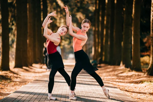 Duas Lindas Dançarinas Balé Balanceando Dançando Vale Árvore — Fotografia de Stock